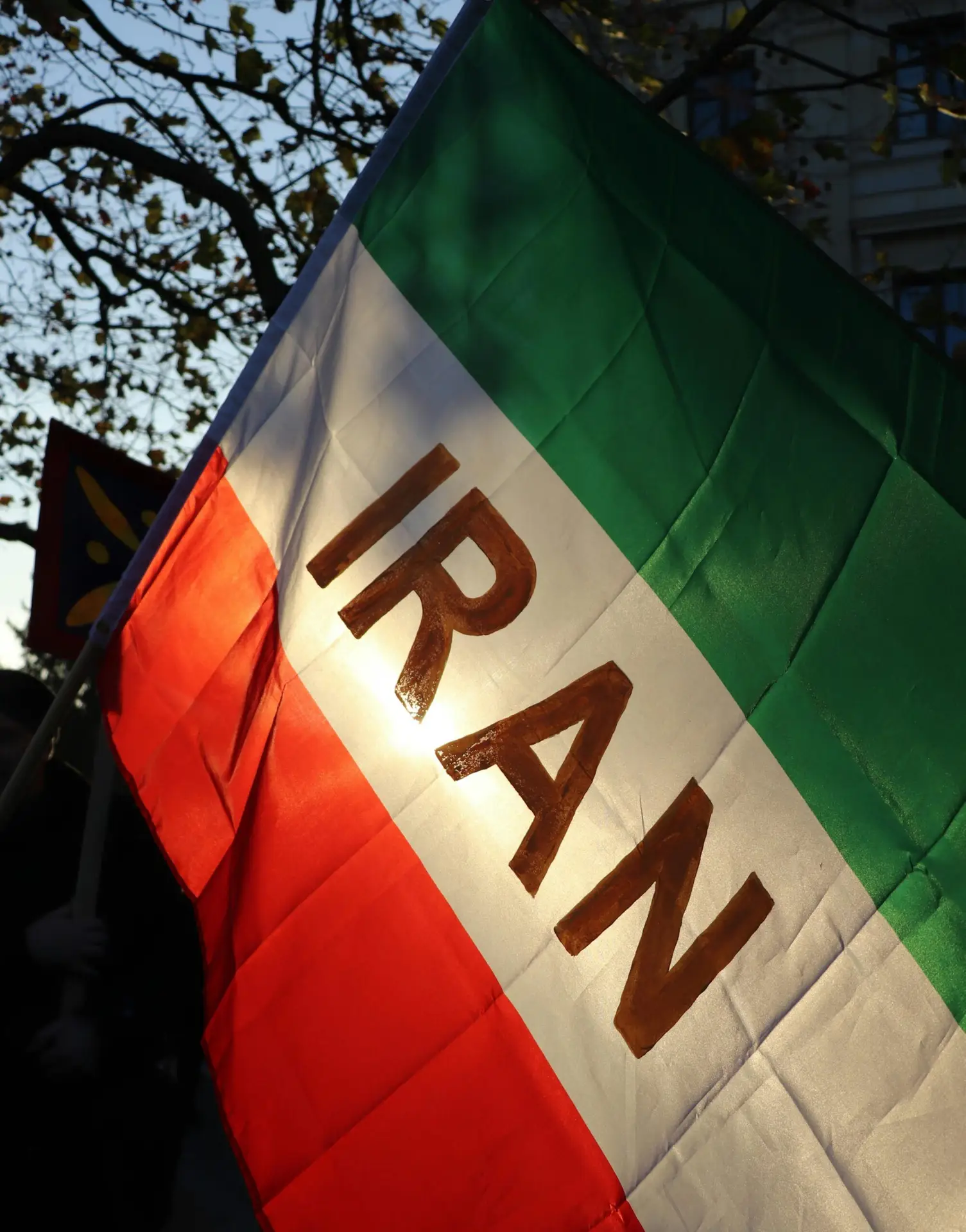 Patriotic display of the Iranian flag waving outdoors against a backdrop of trees.
